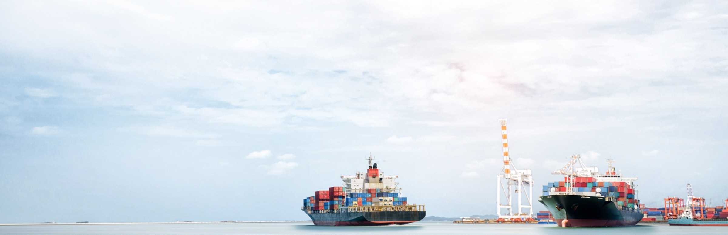 Heat Transfer Oil (HTO)